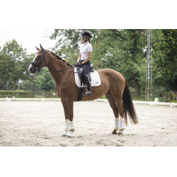 Galon amovible pour casque Lami-Cell Glitter Noir Galon amovible pour casque Lami-Cell Glitter Noir