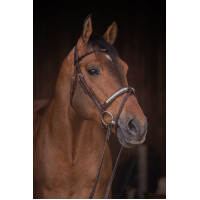 Bridon Pénélope Symphonie Havane Marron Bridon Pénélope Symphonie Havane Marron