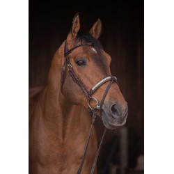 Bridon Pénélope Symphonie Havane Marron Bridon Pénélope Symphonie Havane Marron