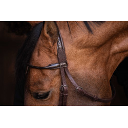 Bridon Pénélope Symphonie Havane Marron Bridon Pénélope Symphonie Havane Marron