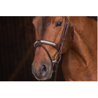 Bridon Pénélope Symphonie Havane Marron Bridon Pénélope Symphonie Havane Marron