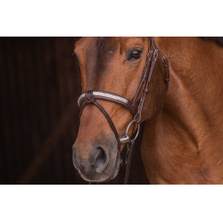 Bridon Pénélope Symphonie Havane Marron Bridon Pénélope Symphonie Havane Marron