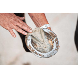 Argile pour sabot Ravene Pediplast Argile pour sabot Ravene Pediplast