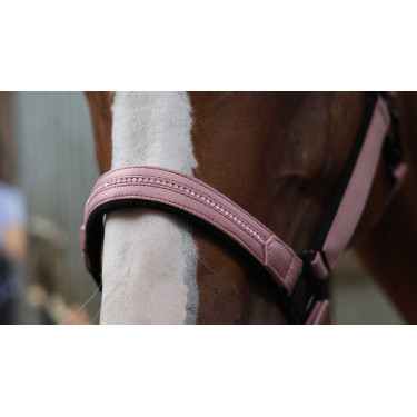 Licol Lami-Cell Charming Vieux rose