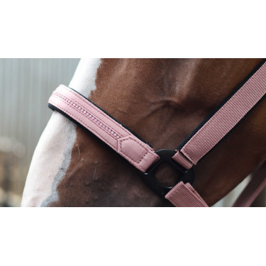 Licol Lami-Cell Charming Vieux rose