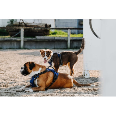 Harnais pour chien Riding World Simba Marine Bleu marine Harnais pour chien Riding World Simba Marine Bleu marine