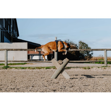 Harnais pour chien Riding World Simba Marine Bleu marine Harnais pour chien Riding World Simba Marine Bleu marine