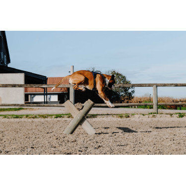 Harnais pour chien Riding World Simba Marine Bleu marine Harnais pour chien Riding World Simba Marine Bleu marine