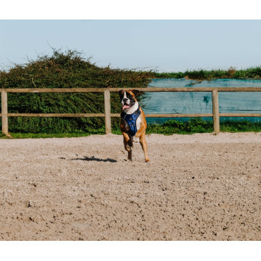 Harnais pour chien Riding World Simba Marine Bleu marine Harnais pour chien Riding World Simba Marine Bleu marine