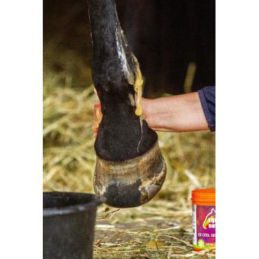 Gel réfrigérant Equinatura Gel réfrigérant Equinatura