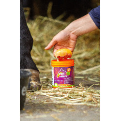 Gel réfrigérant Equinatura Gel réfrigérant Equinatura