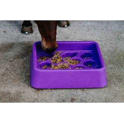 Mangeoire anti-glouton Hippotonic Violet Mangeoire anti-glouton Hippotonic Violet