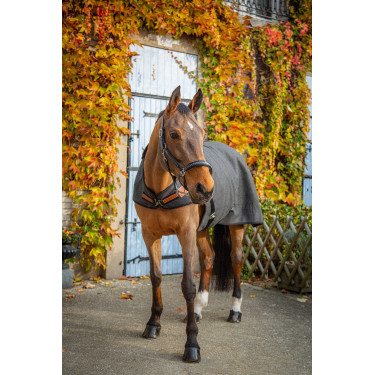 Couverture Walker Wooltouch Paddock Sports Gris chiné