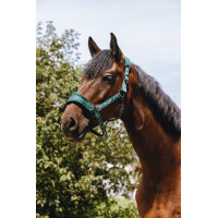 Licol nylon Equithème 3D Mesh Vert