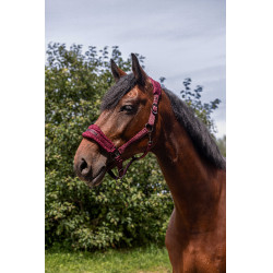 Licol nylon Equithème 3D Mesh Bordeaux