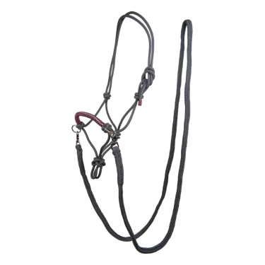Licol éthologique Strass avec rênes / longes HKM Gris / raisin Licol éthologique Strass avec rênes / longes HKM Gris / raisin