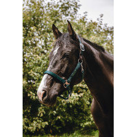 Licol nylon Equithème Protector Vert Licol nylon Equithème Protector Vert