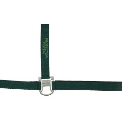 Licol nylon Equithème Protector Vert