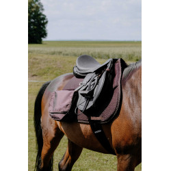 Tapis de randonnée Randol's Mesh Marron