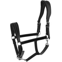 Licol Ardennais Norton Noir Licol Ardennais Norton Noir