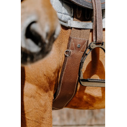 Sangle anatomique Magnet Norton Havane Marron Sangle anatomique Magnet Norton Havane Marron