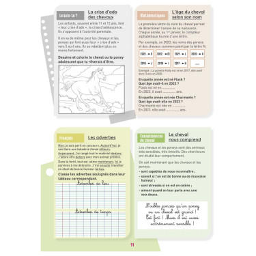 Mon Cahier d'Activités Niveau CM1 Lavauzelle Mon Cahier d'Activités Niveau CM1 Lavauzelle