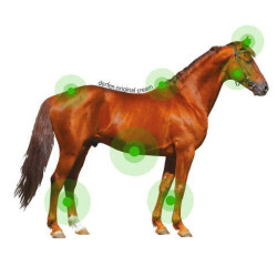 Crème Animaderm Derfen™ Original Crème Animaderm Derfen™ Original