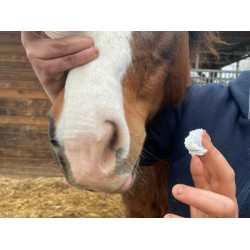 Protection solaire Animaderm Solaren Protection solaire Animaderm Solaren