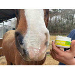 Protection solaire Animaderm Solaren Protection solaire Animaderm Solaren