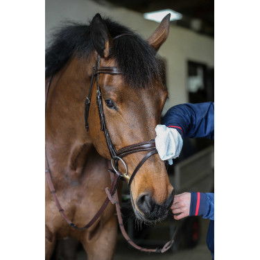 Gants de nettoyage Belvoir® Carr & Day & Martin Tack Cleaner Blanc Gants de nettoyage Belvoir® Carr & Day & Martin Tack Cleaner Blanc