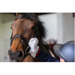 Gants de nettoyage Belvoir® Carr & Day & Martin Tack Cleaner Blanc Gants de nettoyage Belvoir® Carr & Day & Martin Tack Cleaner Blanc