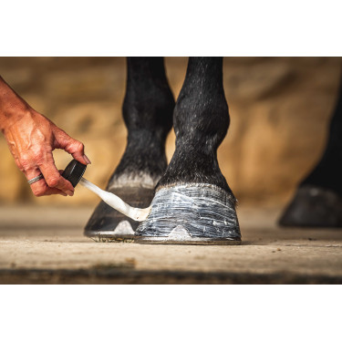 Huile pour sabots Carr & Day & Martin Daily Hoof Moisturiser Cornucrescine Huile pour sabots Carr & Day & Martin Daily Hoof Moisturiser Cornucrescine