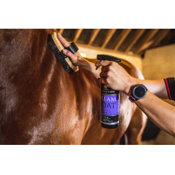 Lustrador Carr & Day & Martin Dreamcoat Lustrador Carr & Day & Martin Dreamcoat