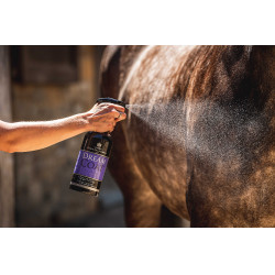 Lustrador Carr & Day & Martin Dreamcoat Lustrador Carr & Day & Martin Dreamcoat