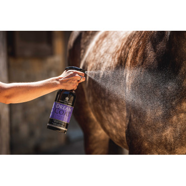 Lustrador Carr & Day & Martin Dreamcoat Lustrador Carr & Day & Martin Dreamcoat