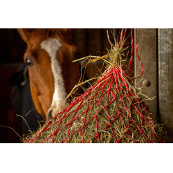 Filet à foin Hippotonic Zari Rouge / argenté