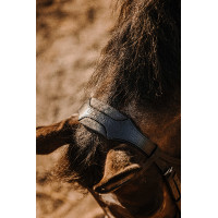 Bridon Eric Thomas Bat Noir Bridon Eric Thomas Bat Noir