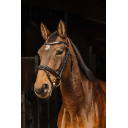 Bridon Norton Pro Galon Noir
