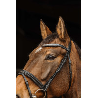Bridon Norton Pro Galon Noir Bridon Norton Pro Galon Noir