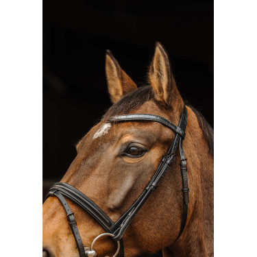 Bridon Norton Pro Galon Noir Bridon Norton Pro Galon Noir