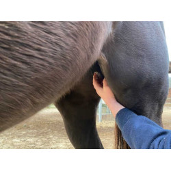 Baume Animaderm Natjely Baume Animaderm Natjely