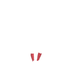 Chaussettes LeMieux Fluffy Character Andalou