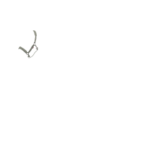 Licol LeMieux Essence Rosemary Vert