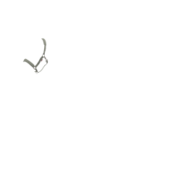 Licol LeMieux Essence Rosemary Vert