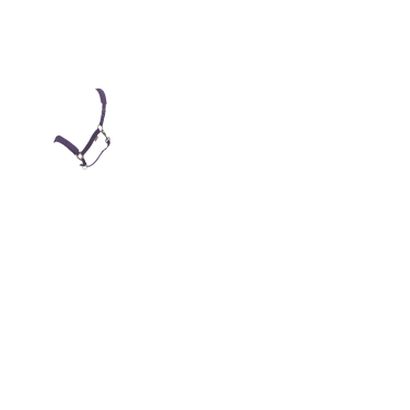 Licol LeMieux Essence Juniper Violet Licol LeMieux Essence Juniper Violet