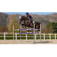 Tapis LeMieux Merino+ Suede Close Contact Square Lilac Violet Tapis LeMieux Merino+ Suede Close Contact Square Lilac Violet