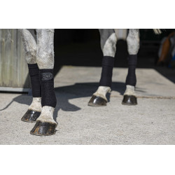 Bandes de polo Riding World Eco Noir Bandes de polo Riding World Eco Noir