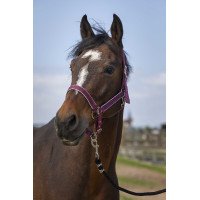 Licol Equithème Nylon light Bordeaux