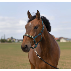 Licol Equithème Nylon Chevron Vert foncé Licol Equithème Nylon Chevron Vert foncé