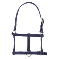 Licol foal Riding World Bleu marine Licol foal Riding World Bleu marine